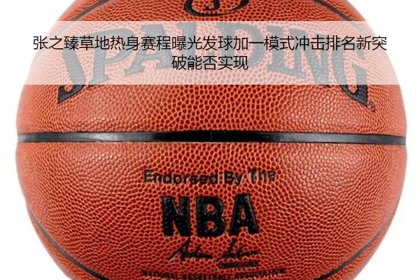 张之臻草地热身赛程曝光发球加一模式冲击排名新突破能否实现